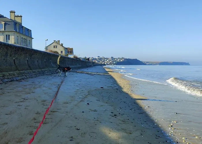 Le Belle Vue D'asnelles Chez Lisa & Clement Apartamento Asnelles